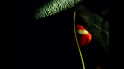 justcamfun4u online show from January 2, 7:40 pm