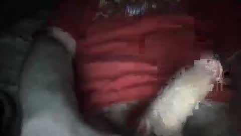 Snapshot of justinkinglols chatting on October 5, 7:23 pm justinkinglols online show from October 5, 7:23 pm