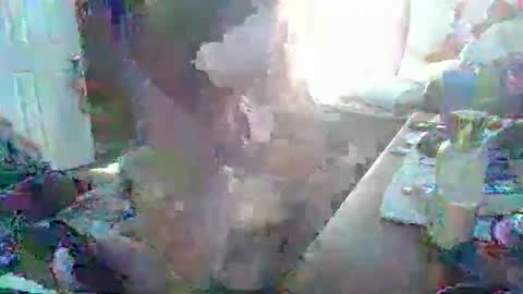 justintyme911128278 online show from March 19, 8:35 pm