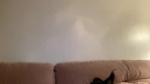 Snapshot of justjessiedirtygirl chatting on March 2, 4:36 am Jess online show from March 2, 4:36 am