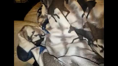 justswack online show from December 7, 8:44 am