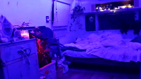 Snapshot of jwolf11851725 chatting on September 21, 8:05 am jwolf11851725 online show from September 21, 8:05 am