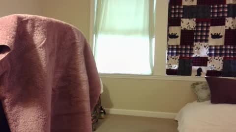 Wolf online show from March 1, 1:29 pm