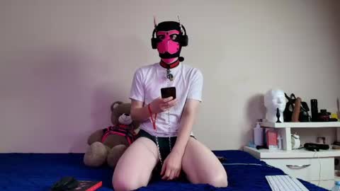 Snapshot of k9_goodboy chatting on June 15, 6:21 pm Alex online show from June 15, 6:21 pm