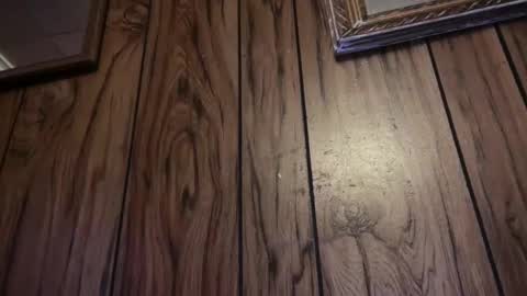 Snapshot of kaceelynn chatting on November 8, 9:35 pm Kac online show from November 8, 9:35 pm