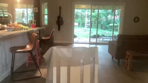 Kailee Smile online show from October 1, 3:56 am