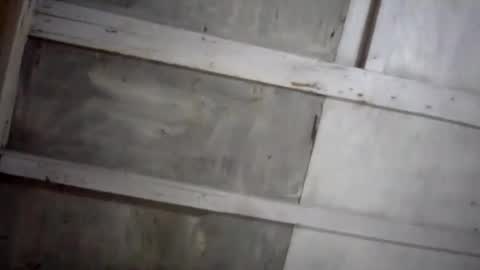 Snapshot of kakaroto30102 chatting on February 17, 8:09 am kakaroto30102 online show from February 17, 8:09 am