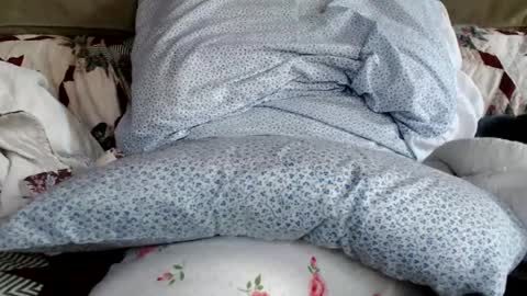 Snapshot of kaonashi69 chatting on January 19, 6:21 pm kaonashi69 online show from January 19, 6:21 pm