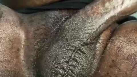 Snapshot of karadi5 chatting on December 4, 9:40 am Snookie online show from December 4, 9:40 am