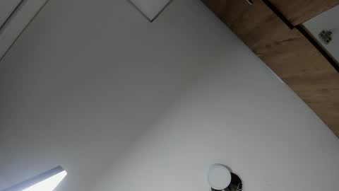 Snapshot of karina_aurora chatting on February 19, 4:19 am karina_aurora online show from February 19, 4:19 am