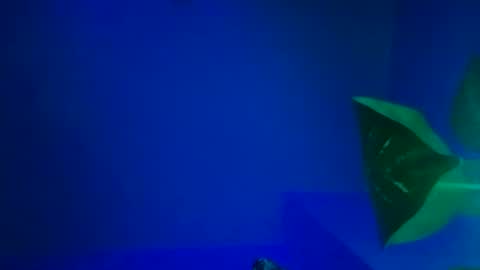 Karla Gonzaless online show from November 9, 6:44 am