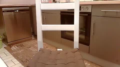 Kev online show from February 16, 5:04 pm