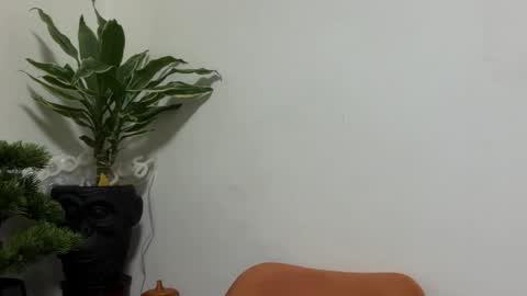 karoline121 online show from April 21, 2:51 am