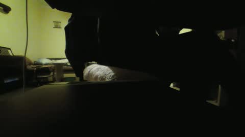 Stojko online show from October 18, 8:09 pm