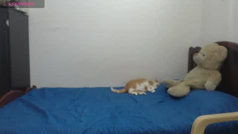 kate_leex online show from June 17, 6:53 pm