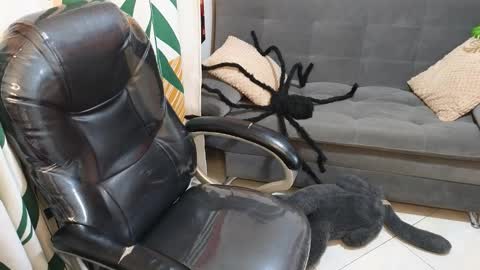 kathie_lozada online show from October 28, 6:17 am