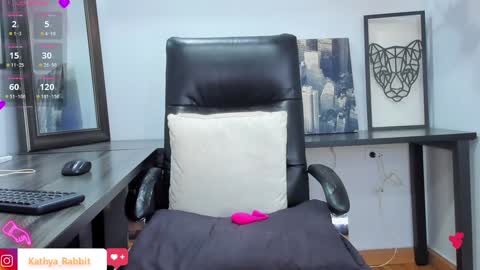 Snapshot of kathya_rabbit chatting on January 3, 3:27 am Kathye online show from January 3, 3:27 am