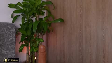 Katie online show from November 20, 11:21 am