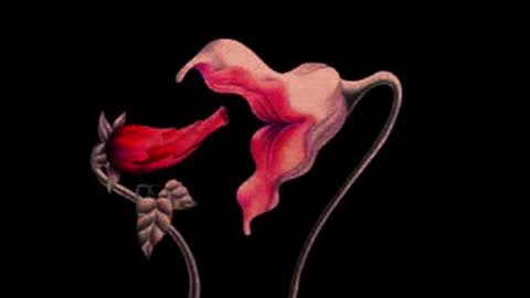 katsuro online show from November 14, 9:24 pm