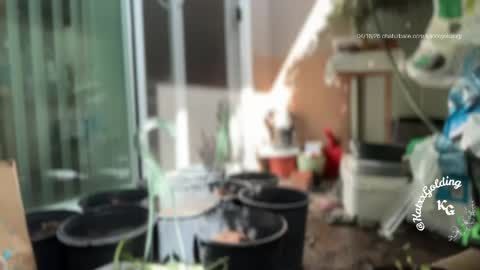 Princesse Kat  online show from April 18, 10:21 pm