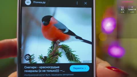 Snapshot of katy_ethereal chatting on February 21, 2:39 am Katy - online show from February 21, 2:39 am