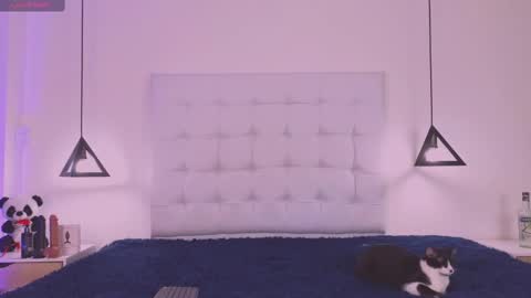 Cattleya stone online show from February 18, 4:04 am