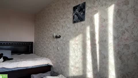 Sylvia online show from November 8, 8:14 am