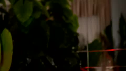 Denise online show from March 29, 2:22 am