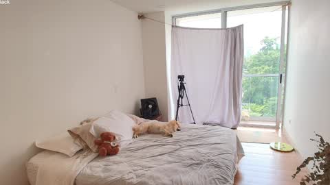 kendall online show from March 10, 4:01 pm