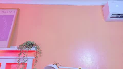   online show from April 20, 9:12 am