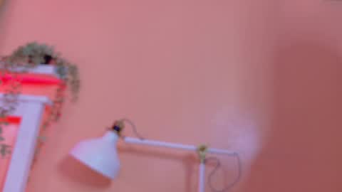   online show from April 21, 9:04 am