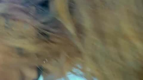 Kendal  online show from November 27, 9:28 pm