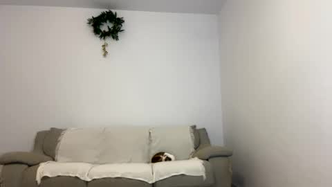 Kenna next time online - 2nd of Dec online show from January 15, 6:08 pm