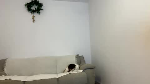 Kenna next time online - 2nd of Dec online show from January 23, 3:43 pm