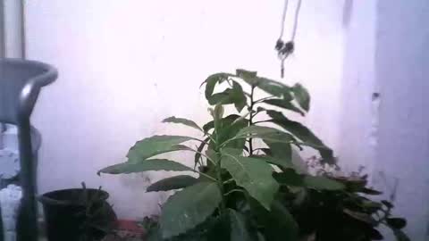 keny06 online show from December 31, 4:49 am