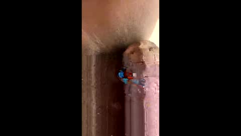 Snapshot of kenya803 chatting on October 23, 11:20 am kenya803 online show from October 23, 11:20 am