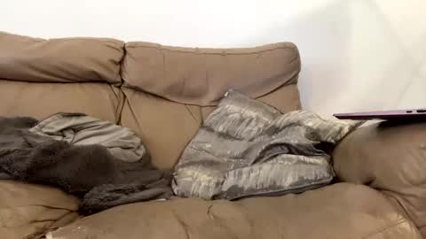 kevfromchat online show from January 8, 1:31 pm