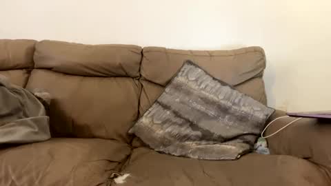 kevfromchat online show from February 7, 11:34 am