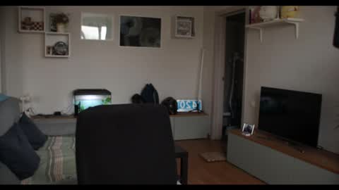 Kev online show from February 17, 12:05 pm