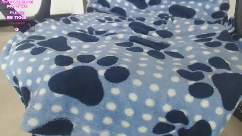 Kevin online show from November 18, 3:49 pm