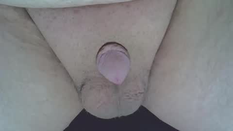 maggot online show from November 21, 12:21 am