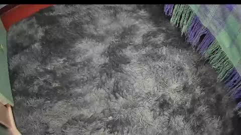 Keyla online show from April 17, 9:29 pm