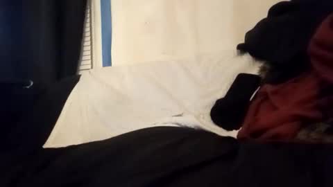 Frankie online show from January 14, 6:41 am