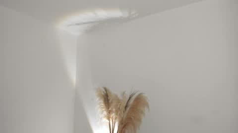 Kim Murphy online show from April 1, 11:11 am