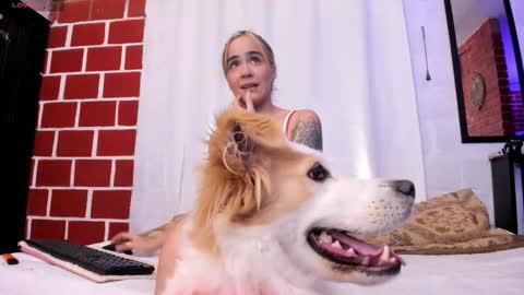 Kim  Yuk online show from November 10, 12:42 am