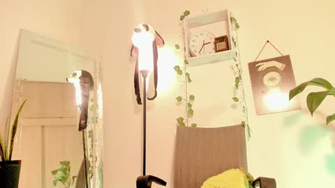 Snapshot of kimmcarter chatting on January 14, 7:38 am Kimm online show from January 14, 7:38 am