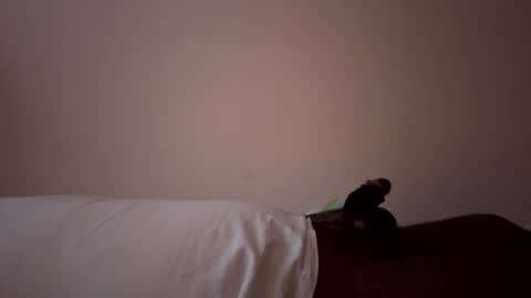 Snapshot of king_cocklear chatting on April 9, 5:07 am AsYouLikeCock online show from April 9, 5:07 am