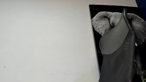 Angel Falconer online show from November 4, 2:10 am