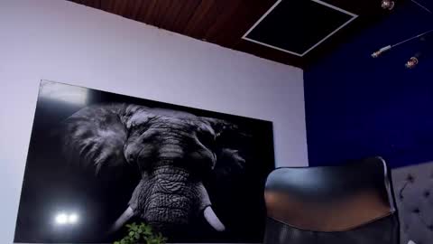 Angel Falconer online show from January 15, 2:16 am