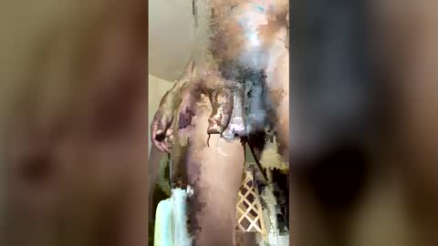 Snapshot of kingecstasyxxx chatting on May 21, 7:15 am KingEcstasyXXX online show from May 21, 7:15 am